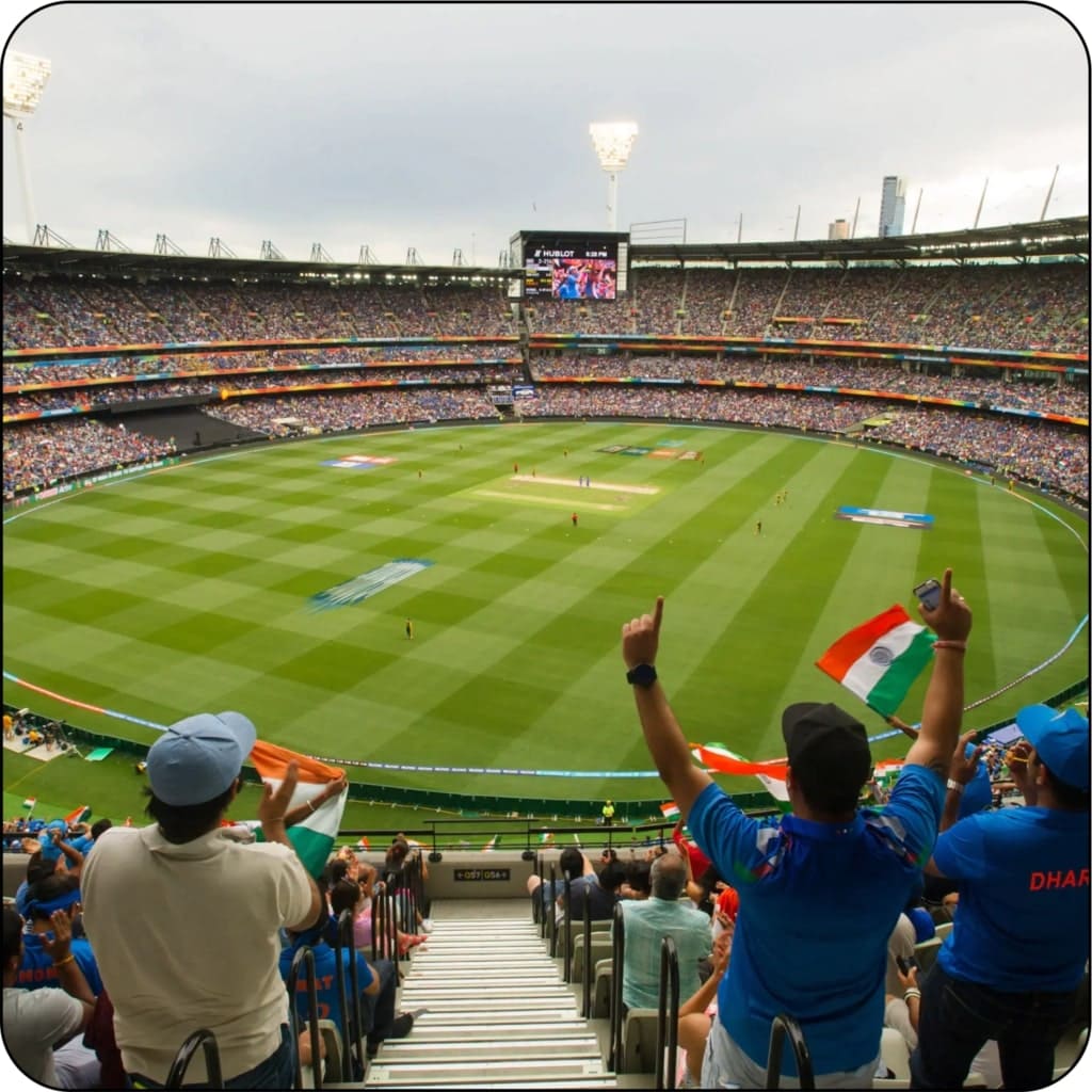 Cricket Fans