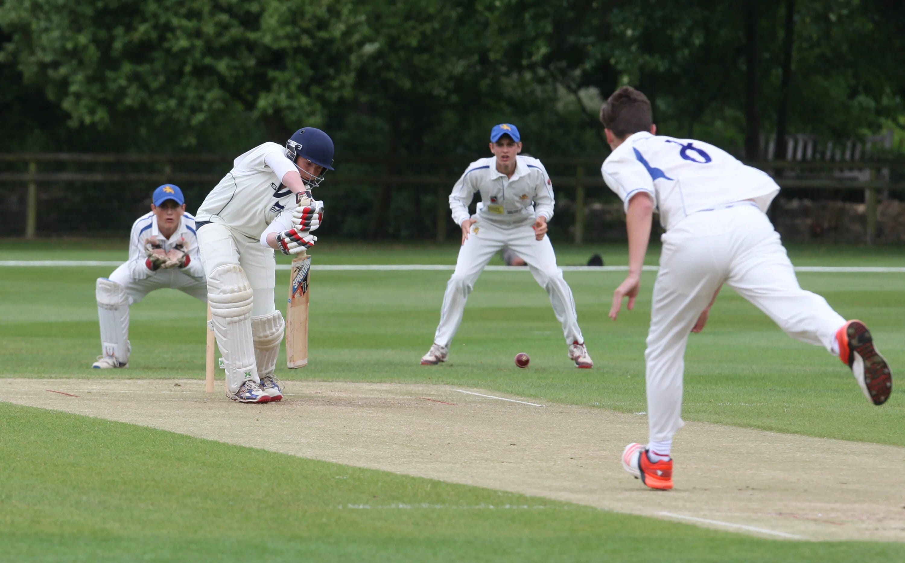 Cricket strategy board